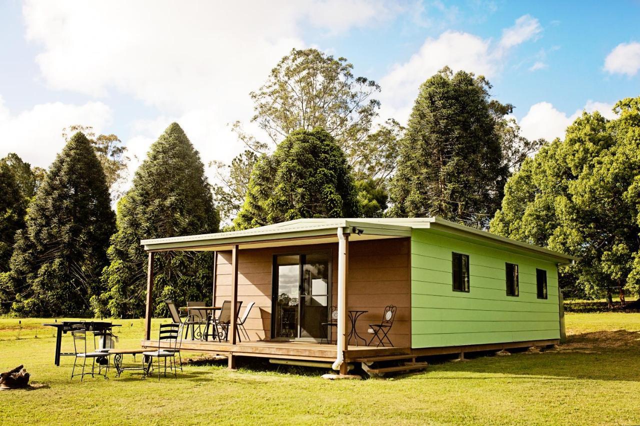 Pinbarren Green Lodges Noosa Exterior foto